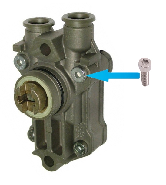 PA Common-Rail screws