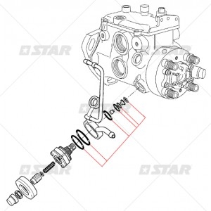 Rotary pumps type Delphi DP200 / DP300