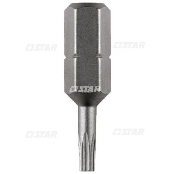 TORX 10-1/4