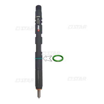 OR DELPHI-INJECTORS C/RAIL