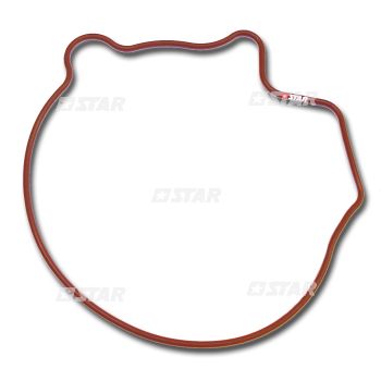GASKET TANDEM PUMP VW-AUDI