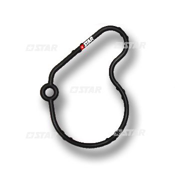 GASKET-TANDEM PUMP VW