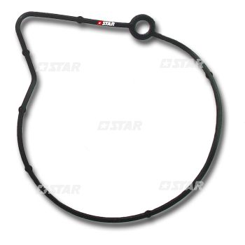 GASKET TANDEM PUMP
