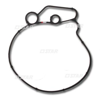 GASKET TANDEM PUMP VW AUDI