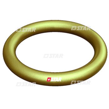 FLANGE RING S/7100 FKM