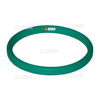 OVAL RING PUMP P S/6000 FKM