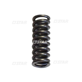 SPRING D'VALVE-161S2