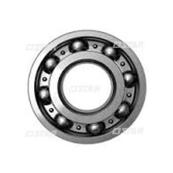 BEARING CAT PUMP C/RAIL