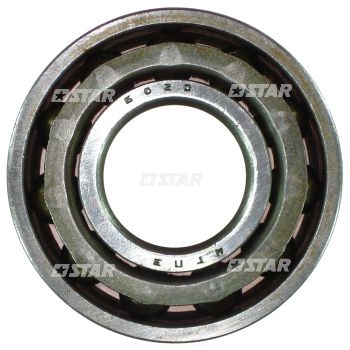 BALL BEARING SIMMS