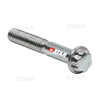 SCREW TORK SOLENOID PLATE INJ.