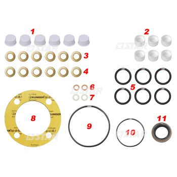 G/KIT ZEXEL PE(S)-6 A/D