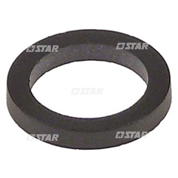 SEAL RING VALVE DELPHI