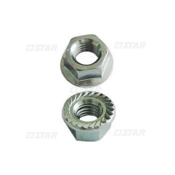 FLANGE NUT VE-MM. 6