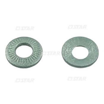 SPECIAL WASHER DELPHI