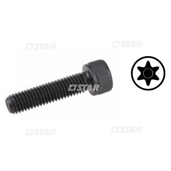 TORX SCREW INJ/CAT