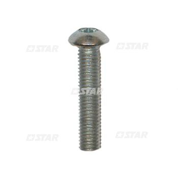 TORX SCREW