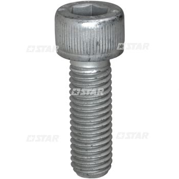 EXAG/SCREW DENSO M8X30