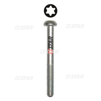 ROUNDED HEAD SCREW TORX