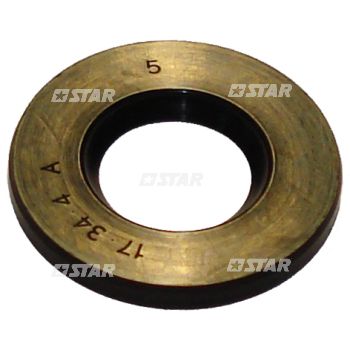 OIL SEAL M34X17X4