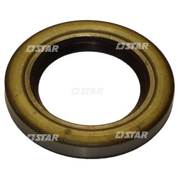 OIL SEAL PUMP CP2 C/R BH
