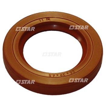OIL SEAL-DELPHI C/R-DFP3/DFP4.2