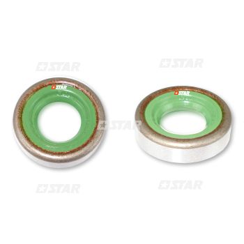 OIL SEAL CP3 PUMP=C/R