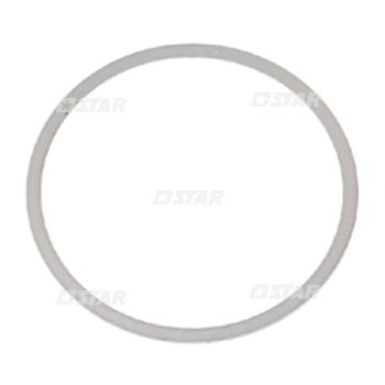 TEFLON GASKET-SCANIA R