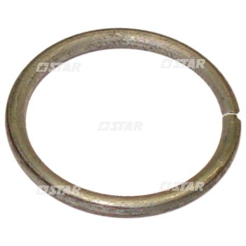 ELASTIC RING INJ/PUMP