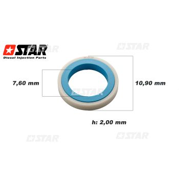 PEEK PUMP C/R-BOSCH/SIEMENS