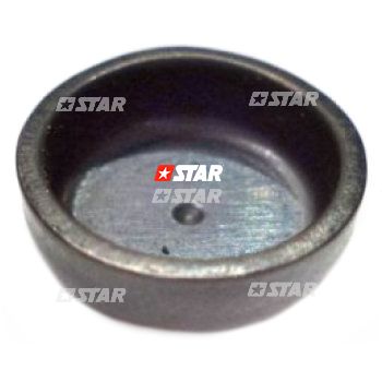 DUST CAP DELPHI-DP200/210/310
