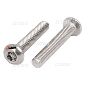 STANADYNE TOP COVER PUMP SCREW