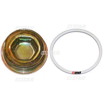 GOVERNOR PLUG GASKET