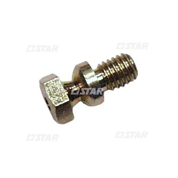 SECURE LOCK SCREW