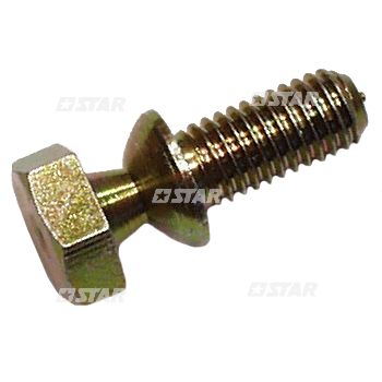 SECURE LOCK SCREW 8X17
