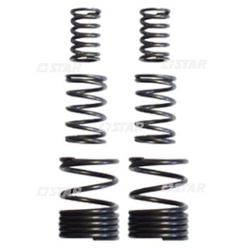 SPRING KIT FIAT 110NC