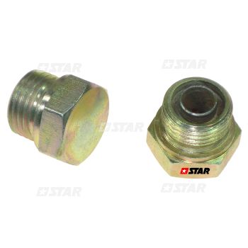 BOLT PLUG FOR FEED PUMP