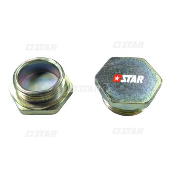 BOLT PLUG M30