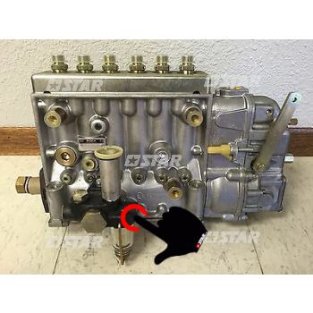 REPAIR KIT FOR FEED PUMP