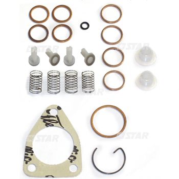 FEED PUMP KIT 4 VALVE