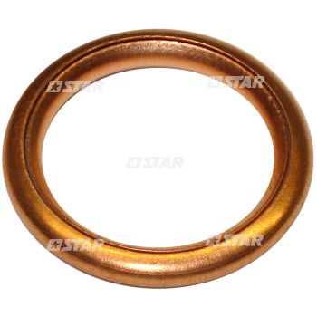 SPRCIAL WASHER COPPER