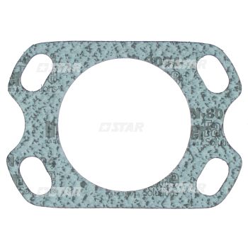 PUMP GASKET PES A/D-OVAL