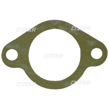 FLANGE GASKET PE.M