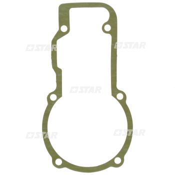 GOVERNOR GASKET RSF