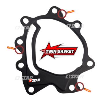 IRON GASKET TANDEM PUMP