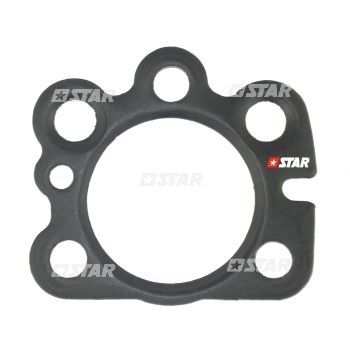 GASKET PUMP DELPHI-C/RAIL