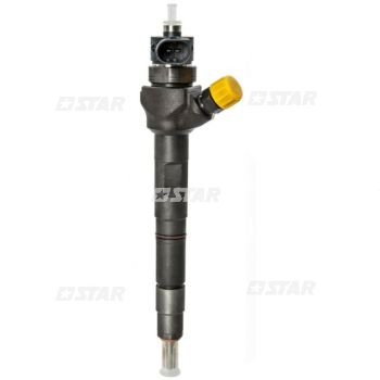 NOZZLE NUT INJ/BH