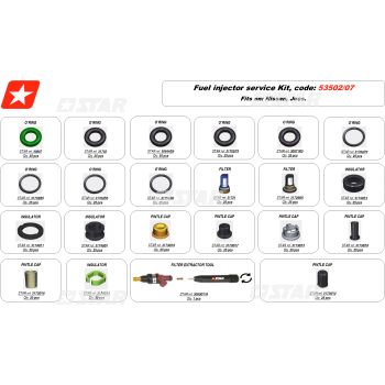 FUEL INJECTOR SERVICE KIT