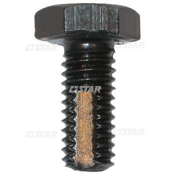 BH INJ/BLEEDING SCREW 6X1 MM