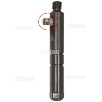 BH INJ/BLEEDING SCREW 6X1 MM