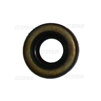 OIL SEAL GOVERNOR